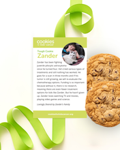 Load image into Gallery viewer, Zander's Chocolate Chip Extravaganza